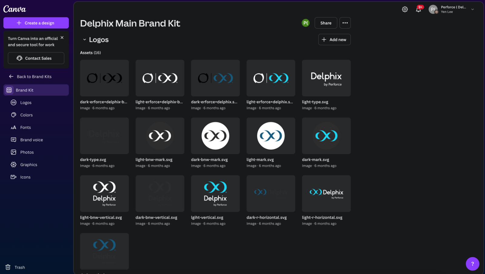 Delphix main brand kit logo assets in Canva