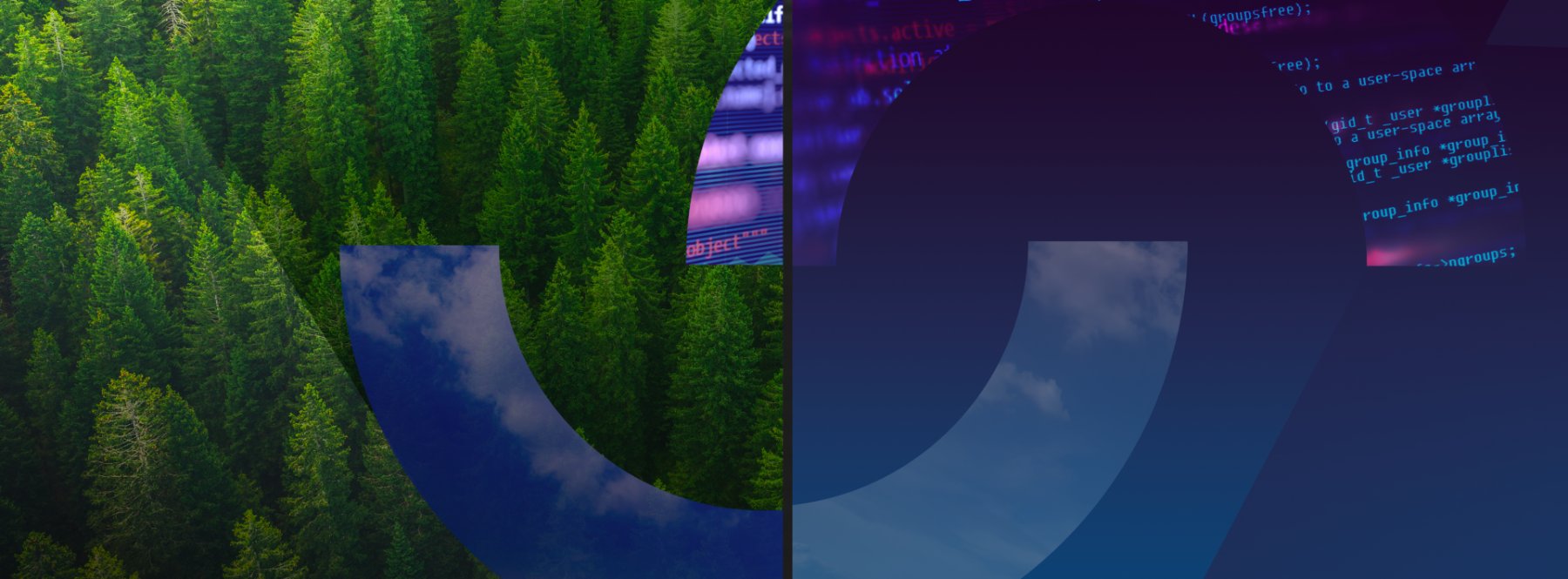 Forest meeting code — SustainableIT sustainable technology key visual